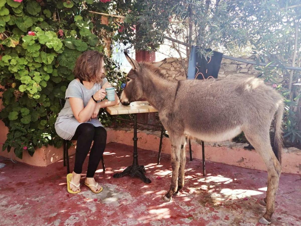 Hostel Surf Housemaroc As-Suwajra Zewnętrze zdjęcie