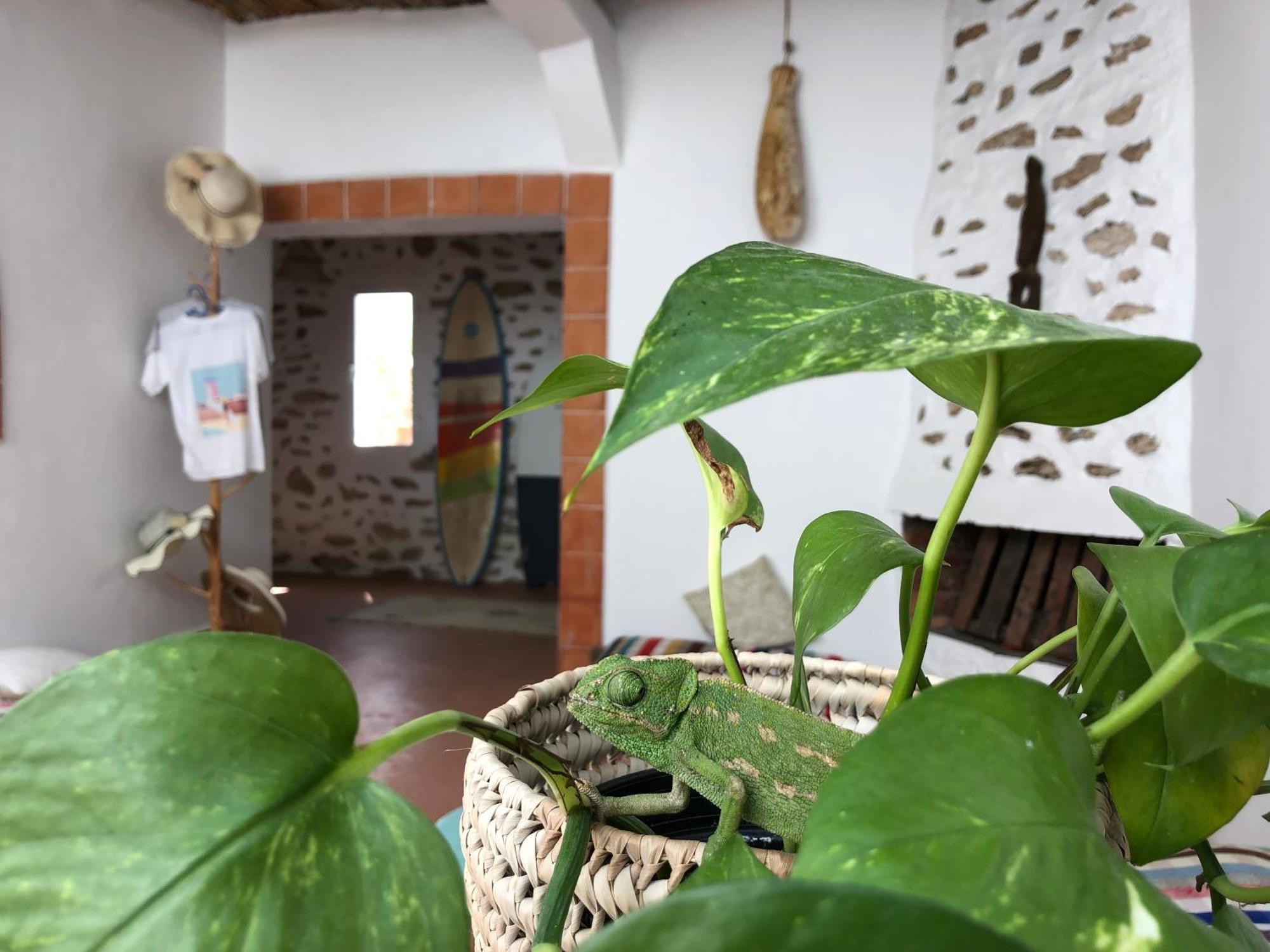 Hostel Surf Housemaroc As-Suwajra Zewnętrze zdjęcie